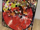 YEAH YEAH YEAHS - FEVER TO TELL VINYL LP PICTURE DISC FIRST PRESS MINT CONDITION