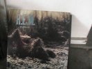REM - MURMUR - ORIGINAL UK IRS LP england rare import r.e.m. vinyl MINT COND