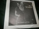 Bruce Springsteen Fire/ Paradise By Sea ps 45-Marble Color+2 PS 45s-Fade Away+