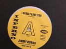 Northern Soul..Jimmy Burns. I Really Love You.Brand New Faces. Rare White Vinyl