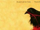 (VINYL LP RECORD) Transatlanticism by Death Cab for Cutie (L0094)