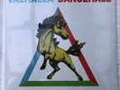 Sealed British Sea Power - Valhalla Dancehall - LP Album - RTRADLP549 - 2011