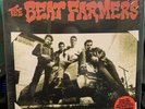 Beat Farmers - Live at the Spring Valley Inn 1983 - 2 x LP - RSD