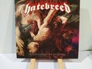 HATEBREED The Divinity Of Purpose  Colored Vinyl Record VG