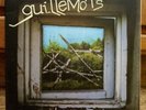 Guillemots - Through The Windowpane - 2 LP Vinyl 2006 VG Polydor