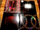 Tool?Aenima?Picture Disc 2LP?Opiate?Undertow?Lateralus?Salival?Vinyl