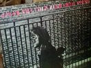 NEIL YOUNG After The Gold Rush *RARE RED LETTERS* Reprise CRIPPLE CREEK Southern
