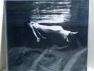 BILL EVANS JIM HALL Undercurrent VINYL LP Sealed Mobile Fidelity MOFI Numbered