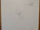 MOTORHEAD SIGNED ORGASMATRON LP TEST PRESSING Lemmy/Wurzel vinyl VG.
