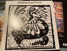 WIDESPREAD PANIC Widespread Panic, self-titled Vinyl 2xLP, VG+ to NM
