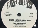 REPRO 78 - SINCE I DON'T HAVE YOU - THE SKYLINERS - ROCK N' ROLL GREATEST HITS 2