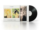 YOU'RE WRONG AND WRONG AGAIN  various artists LP private pressing 99999