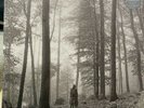 Taylor Swift Folklore 2 LP Deluxe Vinyl “In The Trees” Ready to Ship