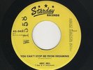 STARDAY Midwest Rockabilly ANDY DOLL You Can't Stop Me From Dreaming VG++ HEAR