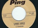 Doo Wop De Bonaires PING 1000 Lanky Linda / Mothers son ?