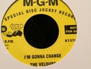 Northern Soul Im Gonna Change/ What More Do You Want.  The Velours/Gene Toones