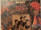 FLAT EARTH SOCIETY - WALEECO VINYL LP RE ISSUE BRAND NEW & SEALED