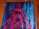 NIRVANA SLIVER DIVE LP Record HTF Blue Marble Kurt Cobain Rare OOP AIC Deftones
