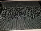 joy division - j.d.warsaw--  lp' - first press- clear  vinyl-poster sleeve