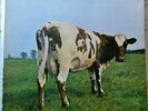 PINK FLOYD LP ATOM HEART MOTHER 1970 GERMANY VG+/VG++