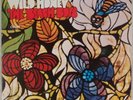 THE BEACH BOYS: Wild Honey US Capitol N-16159 ’80 Mono Surf Rock LP NM Vinyl
