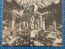 INSECT WARFARE - World Extermination LP (CLEAR) 625 Thrashcore ORIGINAL RELEASE