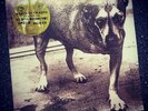 Alice In Chains Self Titled Vinyl Lp - Tri-pod - Three legged dog N/S F/S