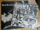 Dead Kennedys LP Fresh Fruit For Rotting Italy Cherry Red 1st Press & POSTER ££