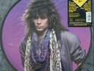 Bon Jovi Slippery When Wet Picture Disc Vintage Vinyl - Limited Edition