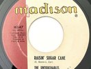 * UNTOUCHABLES Raisin Sugar Cane POPCORN NORTHERN SOUL Madison 45 HEAR