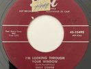 * DOLLY COOPER Big Rock Inn / I'm Looking Through WILD ROCKABILLY Dot 45 HEAR