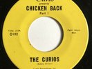 * THE CURIOS Chicken Back ROCKABILLY WILD GUITAR Bo Diddley ROCKER Curio 45 HEAR