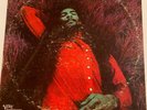 RICHIE HAVENS - Richard P. Havens, 1983  VERVE/Forecast 3047 w/Insert page  RARE