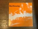 Dead Kennedys LP - Fresh Fruit For Rotting Vegetables - IRS SP 70014 1981 Orange