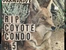 Grandaddy - RIP Coyote Condo # 5 - RSD