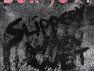 Bon Jovi   Slippery When Wet (1986) 12