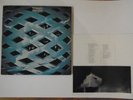 THE WHO 12