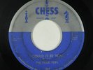 Doo-Wop R&B Rocker 45 - Four Tops - Could It Be You - Chess - mp3