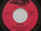 Modern Soul Boogie VEDA What It's All About / Ain't Nothing But A Party 45 HEAR
