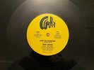 True Image 12 inch, Keep Me Dancing rare disco funk boogie ORIGINAL  Willkerr