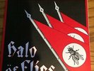 HALO OF FLIES / RICHIE’S DOG / 7