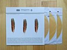 The Appleseed Cast - Low Level Owl: Volumes I + II 3xLP Ltd Edition Gold Vinyl
