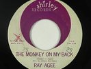 R&B Mod/Inst. 45 - Ray Agee - The Monkey On My Back - Shirley - mp3