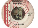 Jan And Dean - Jan Berry Solo Tomorrows Teardrops 7” Usa Ripple As Jan Barry