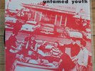 The Penetrators Untamed Youth 