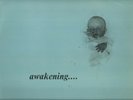 THIRD EYE    SOUTH AFRICA  PROG  LP   AWAKENING....    EX