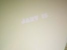 JARV Is Beyond The Pale Glow In The Dark  Gatefold Vinyl LP Record Rare PULP