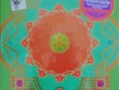 Grateful Dead RSD Buffalo 5/9/1977 5 LP Box Set