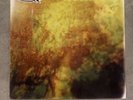 NEW SUPER RARE 311 - Grassroots SUNBURST Vinyl LP x/500