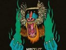 HIATUS KAIYOTE: CHOOSE YOUR WEAPON (LP vinyl *BRAND NEW*.)